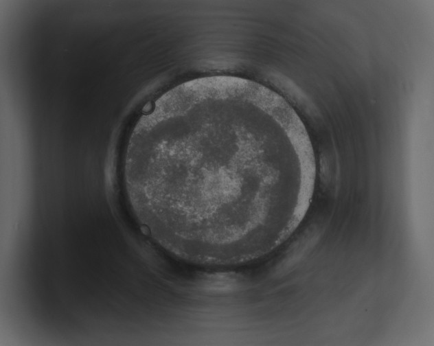 X0000100500396200807111147