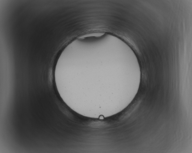 X0000100500397200807111147