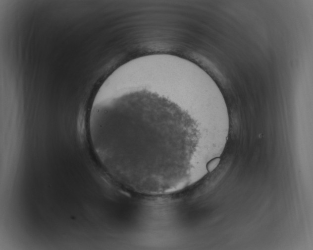 X0000100500398200807111147