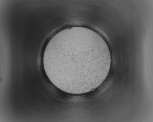 X0000100500399200807111147