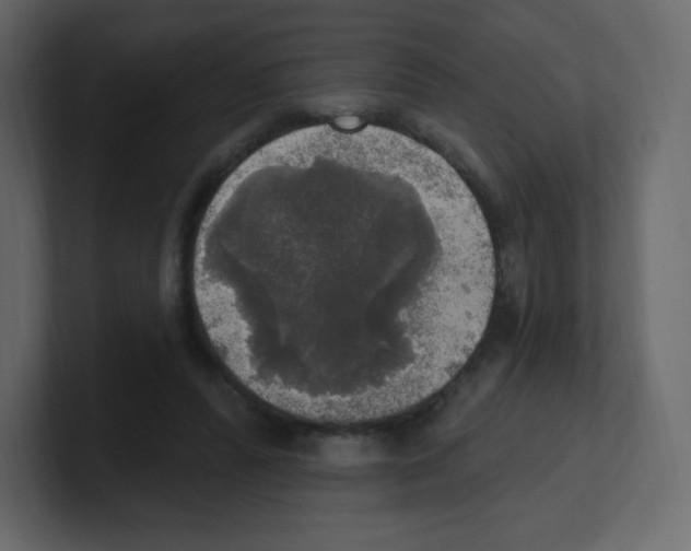 X0000100500400200807111147