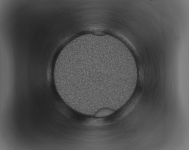 X0000100500403200807111147