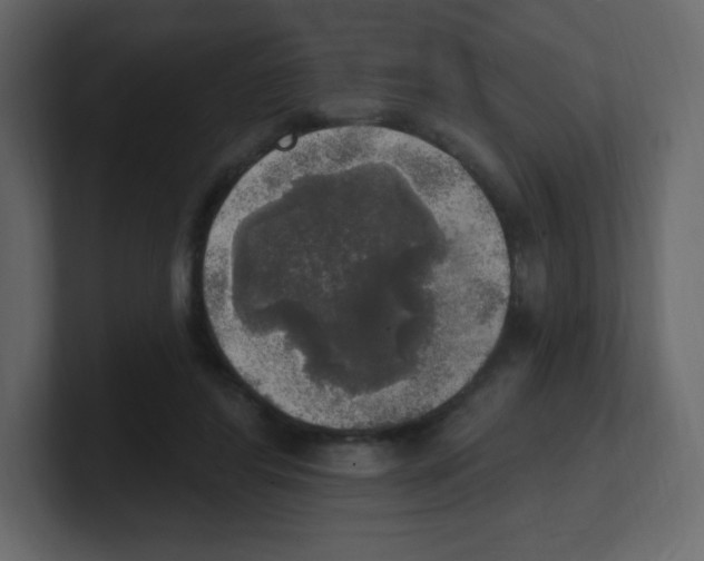 X0000100500404200807111147