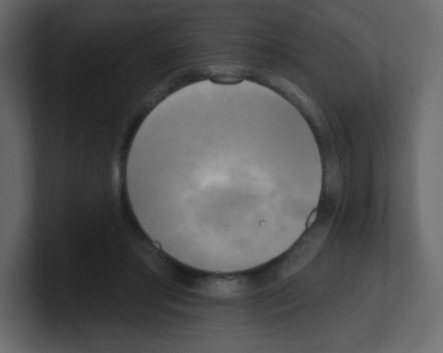 X0000100500405200807111147