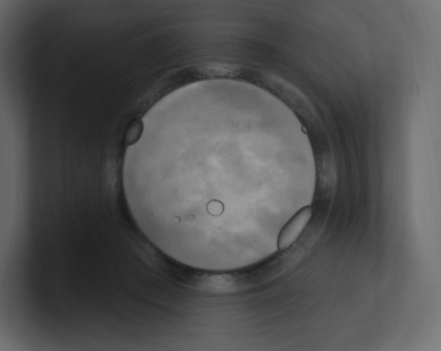 X0000100500409200807111147