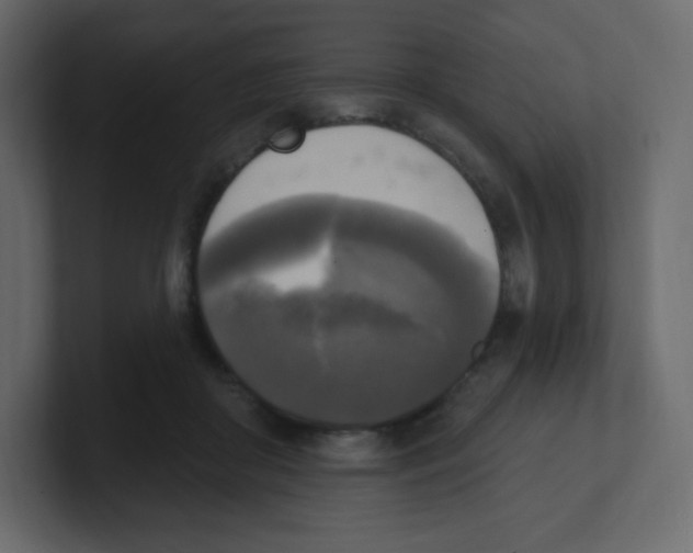 X0000100500410200807111147