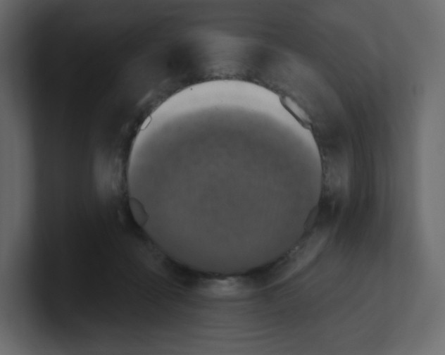 X0000100500411200807111147