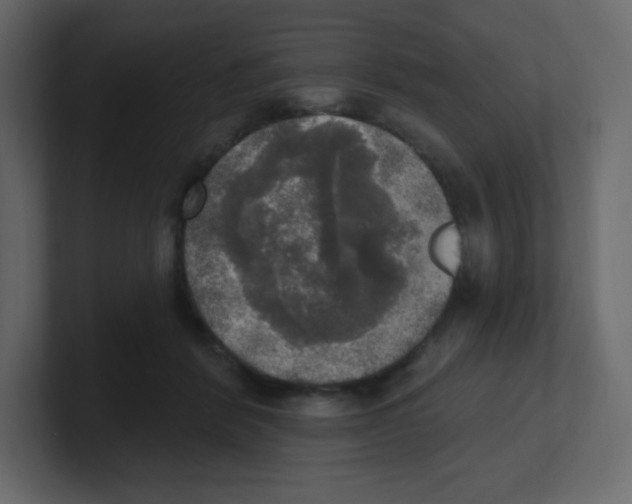 X0000100500412200807111147