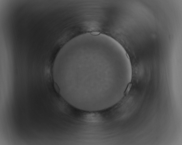 X0000100500415200807111147