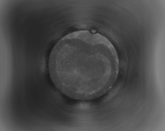 X0000100500416200807111147