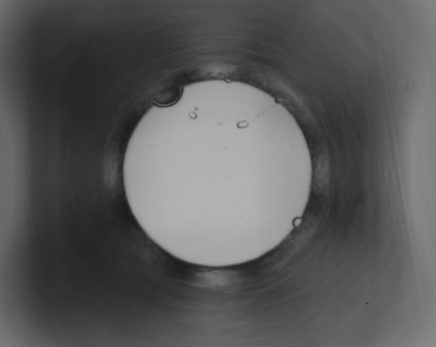 X0000100500417200807111147