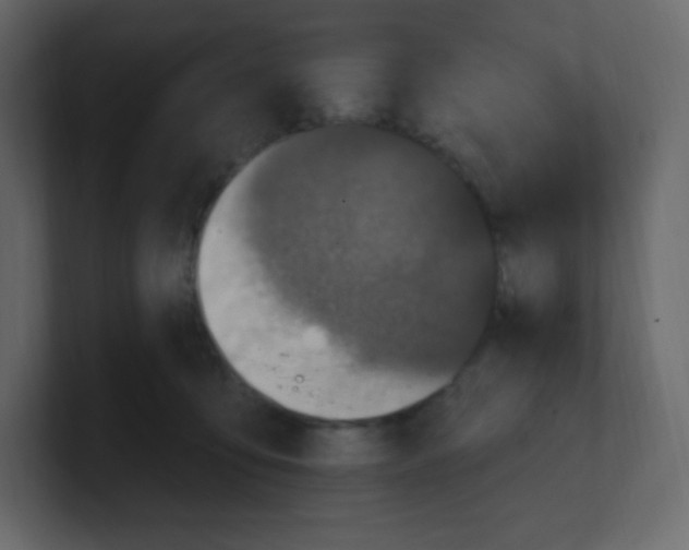 X0000100500419200807111147