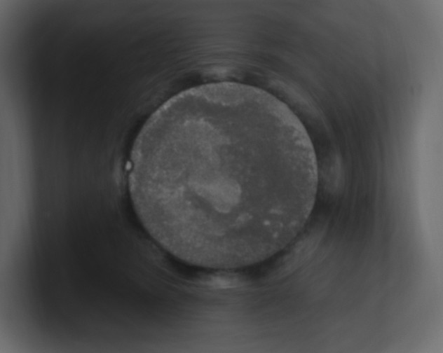 X0000100500420200807111147