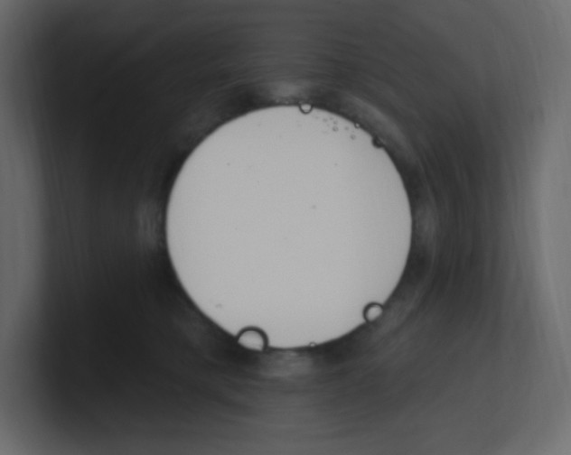 X0000100500421200807111147