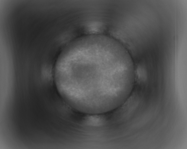 X0000100500423200807111147