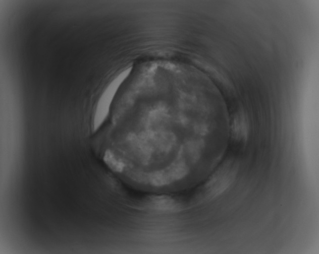 X0000100500424200807111147