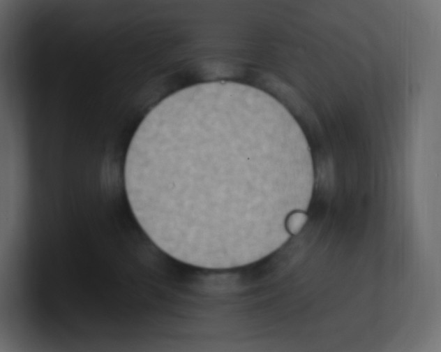 X0000100500426200807111147