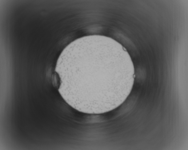 X0000100500428200807111147