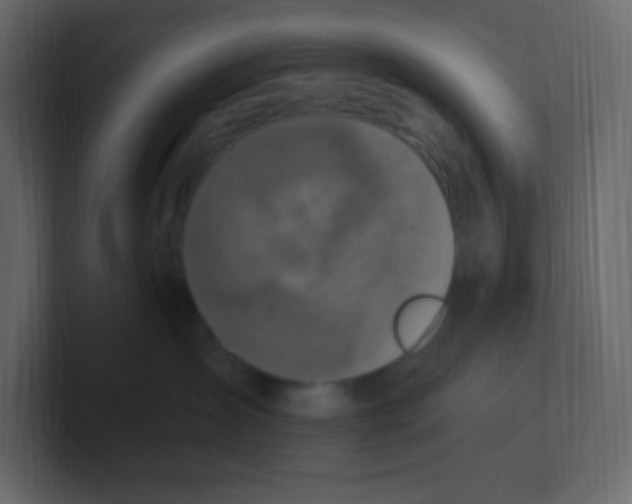 X0000100500431200807111147