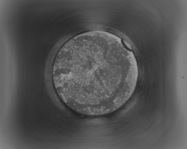 X0000100500433200807111146