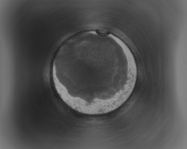 X0000100500434200807111146