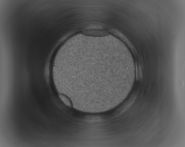 X0000100500435200807111146