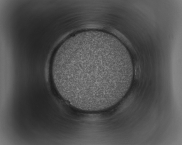 X0000100500436200807111146