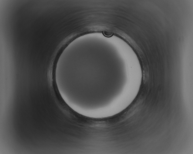 X0000100500438200807111146