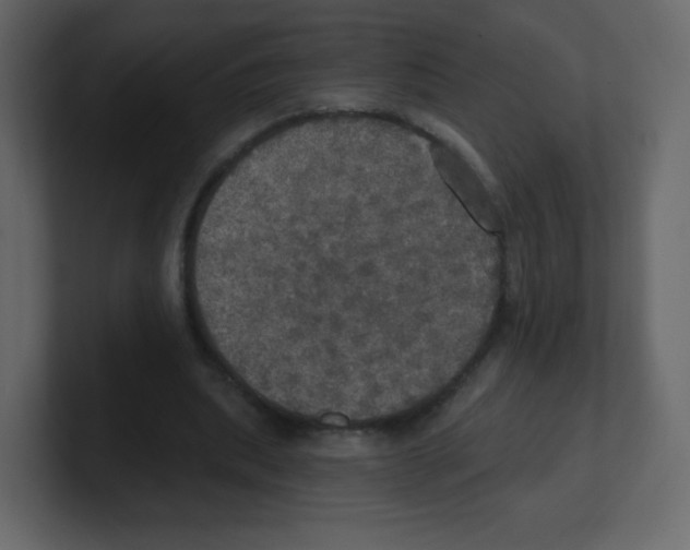 X0000100500439200807111146