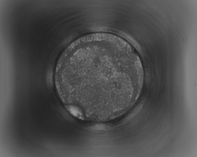 X0000100500441200807111146