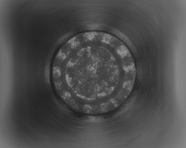 X0000100500442200807111146