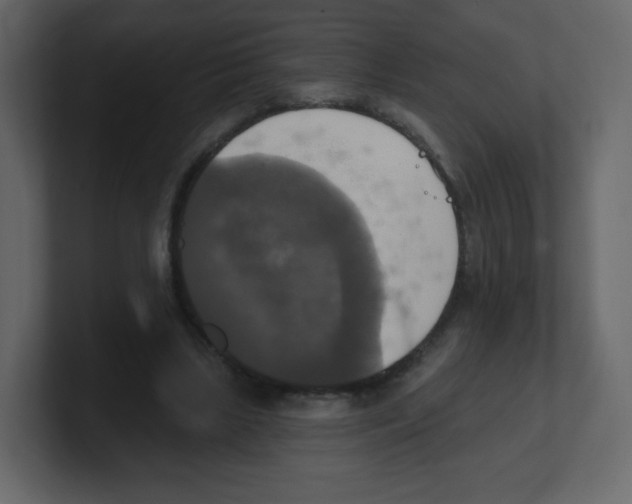 X0000100500443200807111146