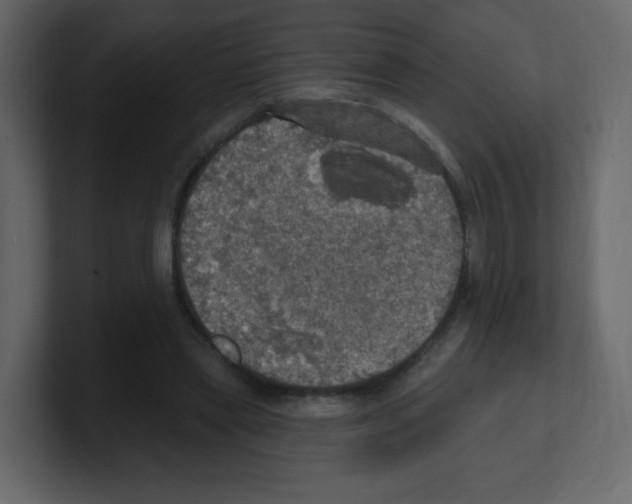 X0000100500445200807111146