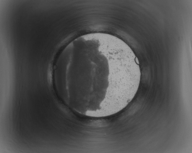 X0000100500446200807111146