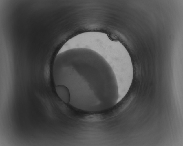 X0000100500447200807111146