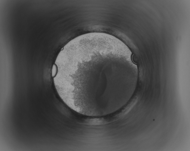 X0000100500449200807111146