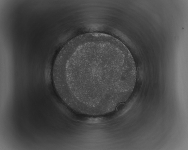 X0000100500450200807111146