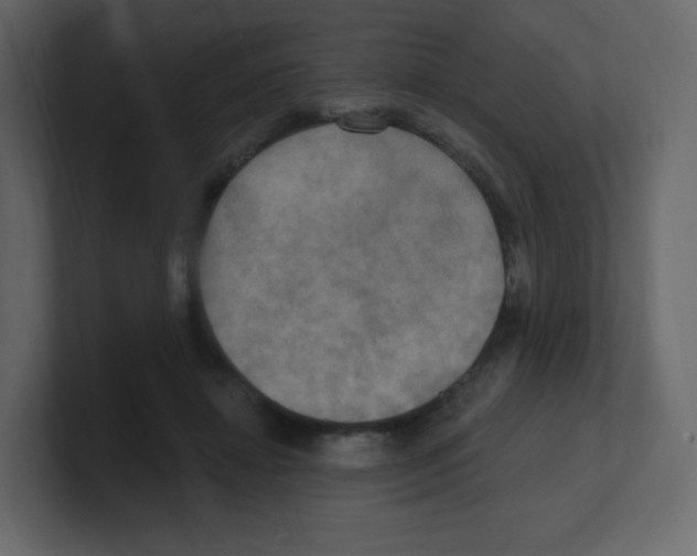 X0000100500452200807111146