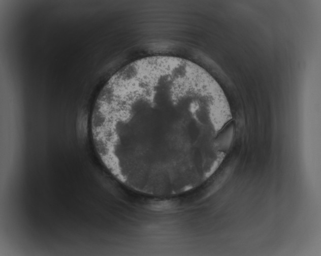 X0000100500454200807111146