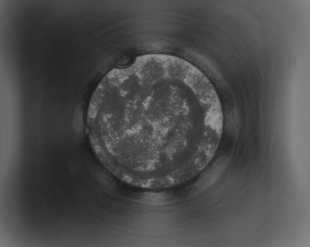 X0000100500457200807111146