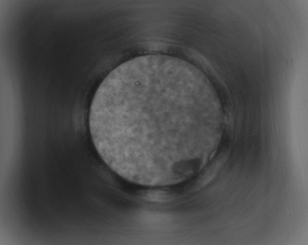 X0000100500462200807111146