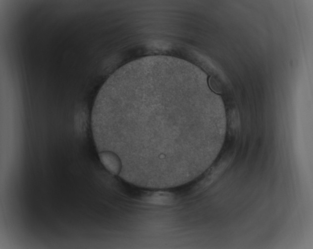 X0000100500463200807111146