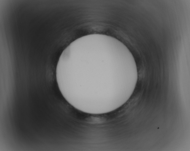 X0000100500464200807111146