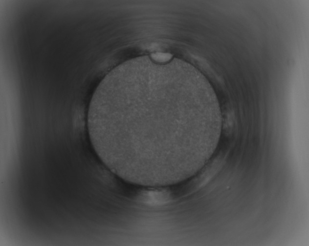 X0000100500466200807111146