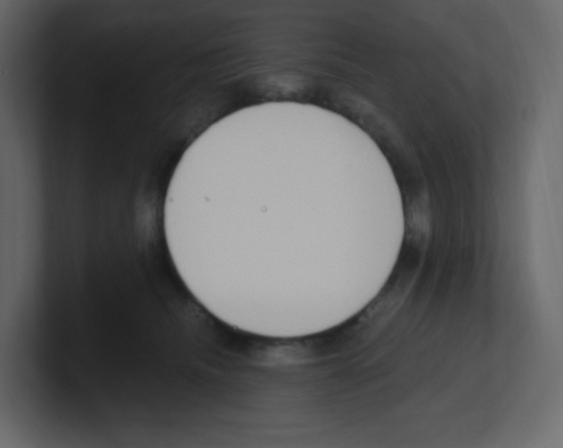 X0000100500468200807111146