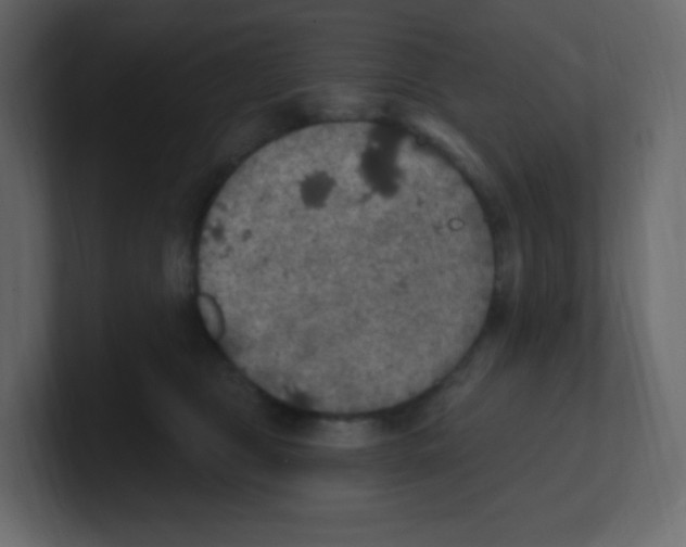 X0000100500469200807111146