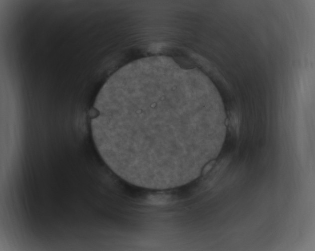 X0000100500470200807111146