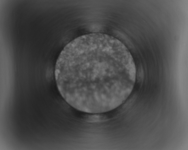 X0000100500473200807111147