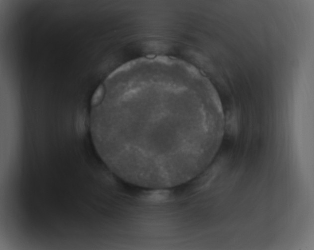 X0000100500474200807111147