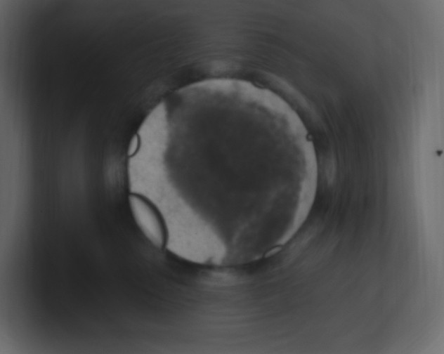 X0000100500475200807111147